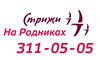 Стрижи на Родниках